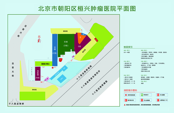 粗大黑鸡巴操逼视频北京市朝阳区桓兴肿瘤医院平面图